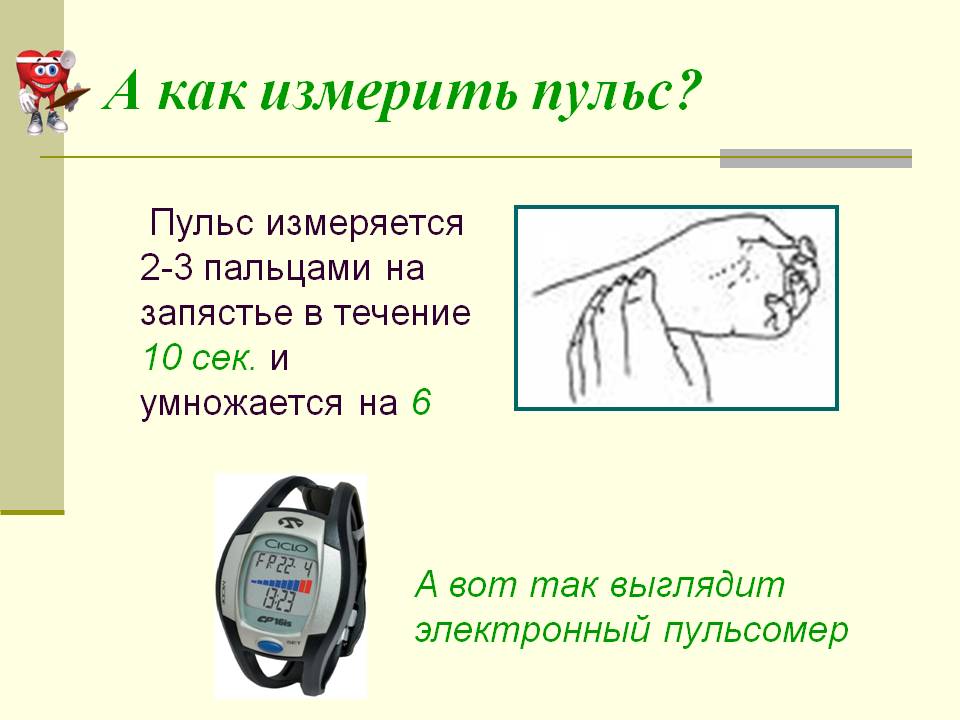 Измерение чсс алгоритм. Как измерить частоту пульса. Пульс норма как измерить. Как правильно измерить пульс у человека. Как правильно измерять пульс на запястье.