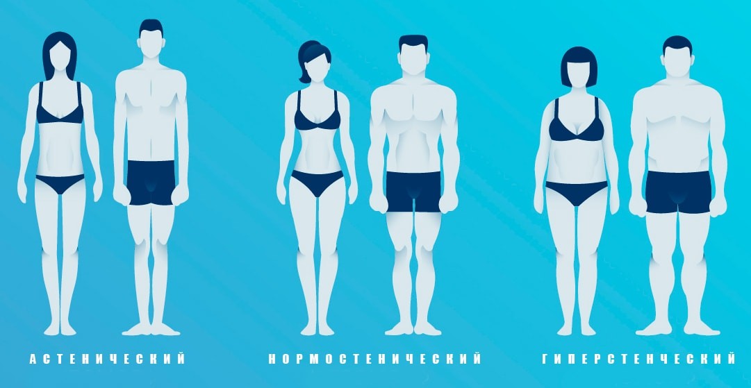 Телосложения мужчин и женщин: астенический, нормостенический, гиперстенический 
