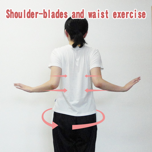 Shoulder-blades and waist exercise