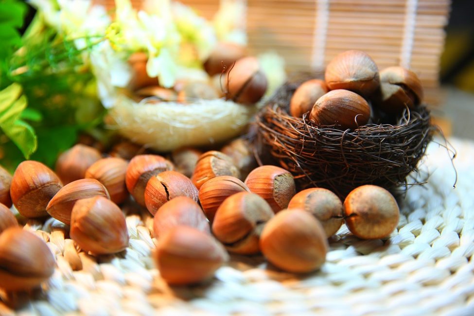 Орехи богаты растительным протеином 