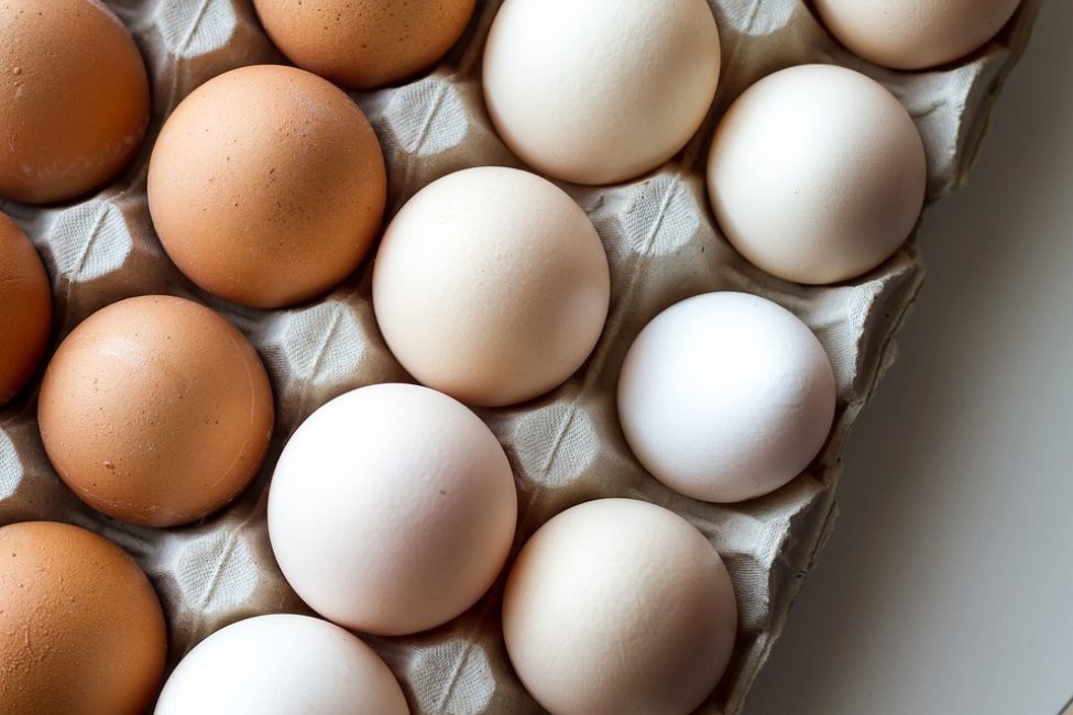 Куриные яйца – легкодоступный источник протеина