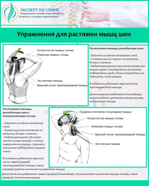 Упражнения для растяжки мышц шеи