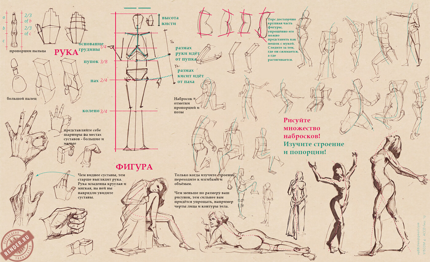 Как рисовать руки пропорции - 86 фото