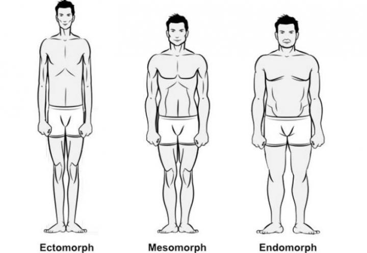 нормостеническое телосложение у мужчин