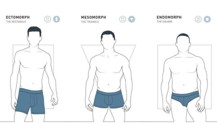 основные типы телосложения