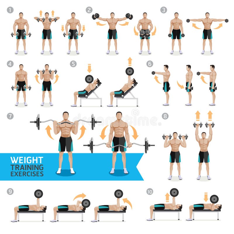 Dumbbell Exercises and Workouts Weight Training. stock illustration