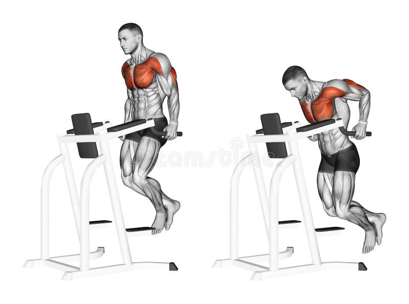 Exercising. Dips in the simulator royalty free illustration