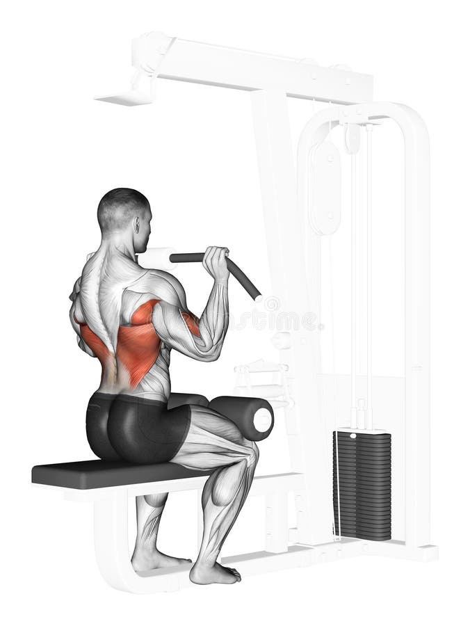 Exercising. End of the upper block in front of him. End of the upper block in front of him. Exercising for bodybuilding Target muscles are marked in red stock illustration