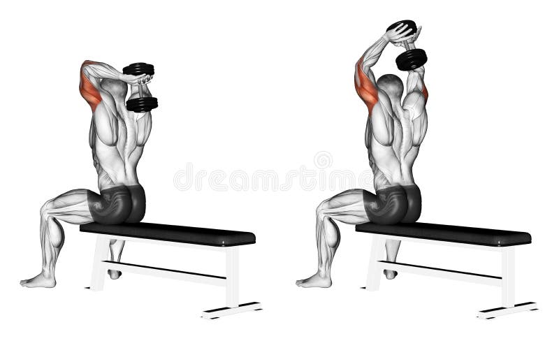 Exercising. Extension arms with a dumbbell from be stock illustration