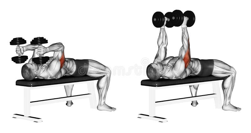 Exercising. Extension arms with dumbbells lying vector illustration