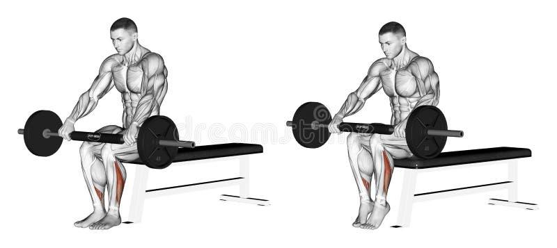 Exercising. Extension of the lower leg, sitting on vector illustration