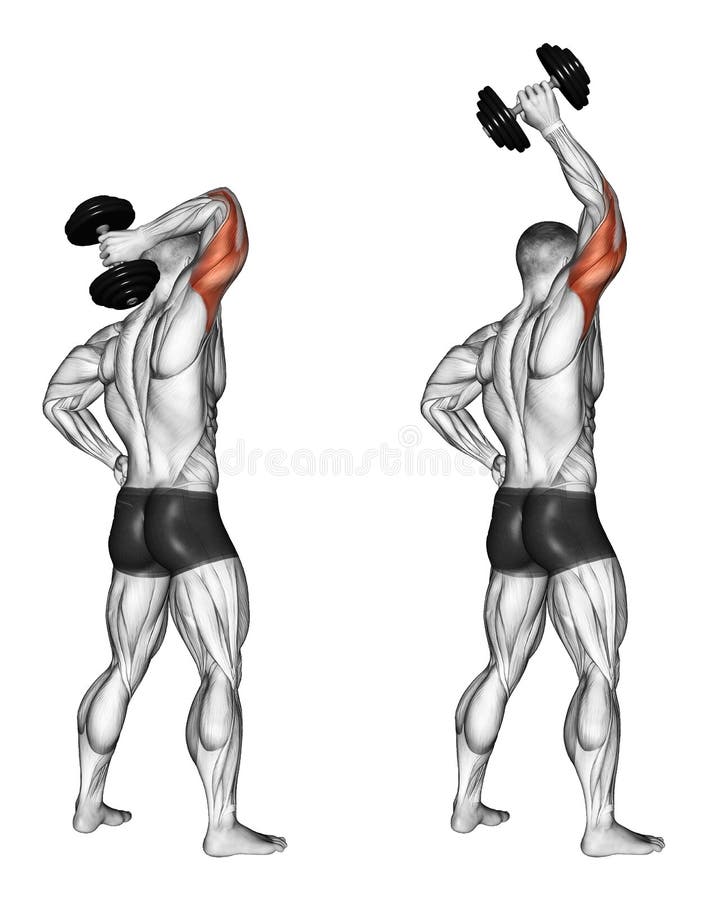 Exercising. Extension of one hand with a dumbbell stock illustration