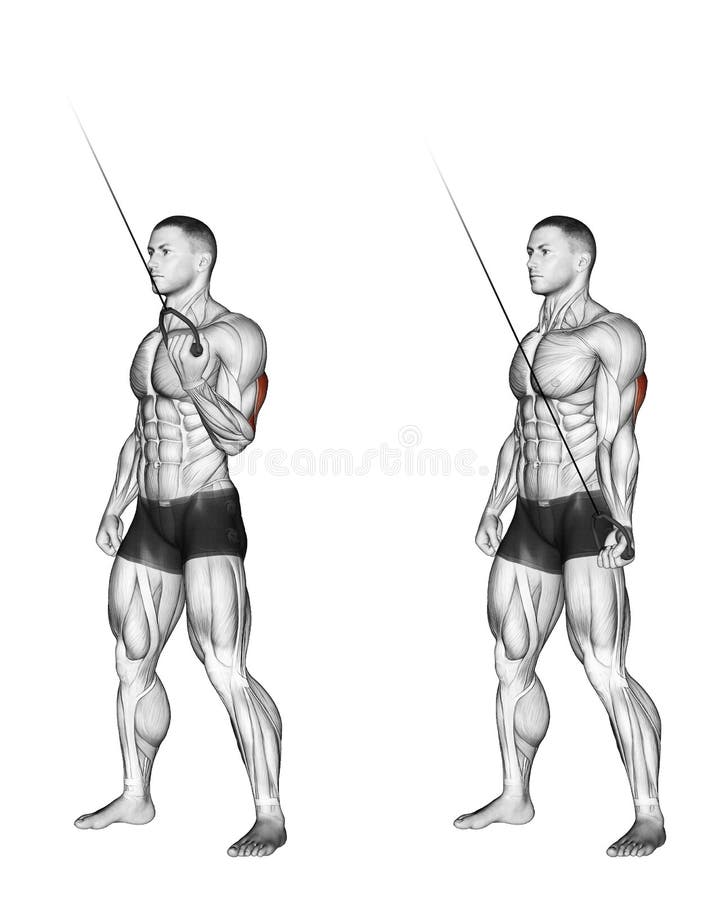 Exercising. Extension of one hand with the upper u royalty free illustration