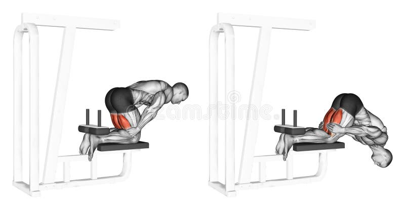 Exercising. Hoists with knees for hamstrings stock illustration