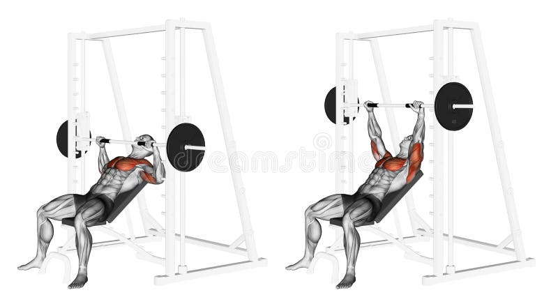 Exercising. Incline Smith Machine Bench Press stock illustration