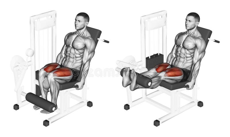 Exercising. Leg extension in the simulator on quadriceps vector illustration