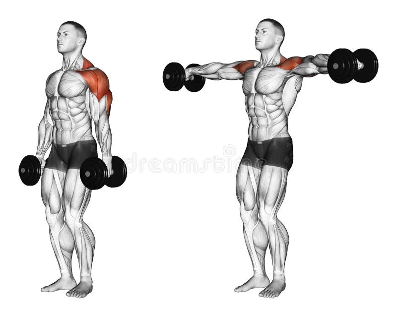 Exercising. Lifting dumbbell in hand royalty free illustration