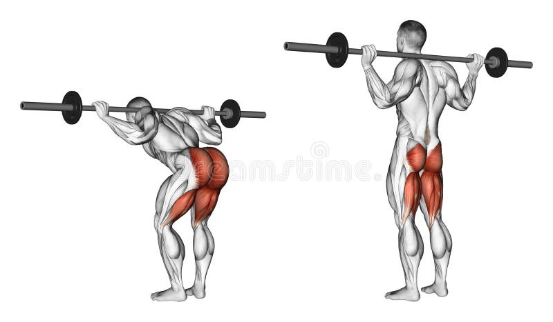 Exercising. Lifting the torso with a barbell vector illustration