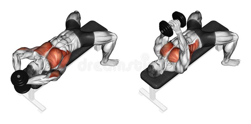 Exercising. Link dumbbells from behind the head stock illustration