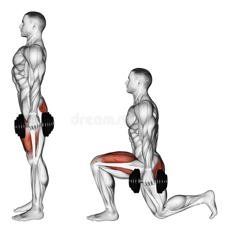 Exercising. Lunges with dumbbells vector illustration