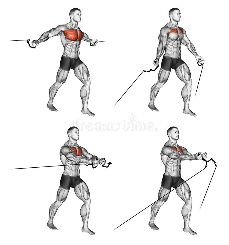 Exercising. Middle and Low cable fly stock illustration