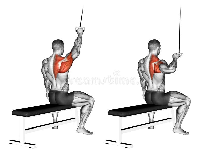 Exercising. One handed lat pulldown. One handed lat pulldown. Exercising for bodybuilding Target muscles are marked in red vector illustration