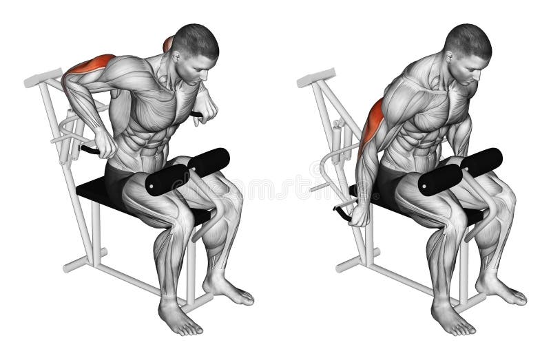 Exercising. Presses in simulator on triceps muscle stock illustration