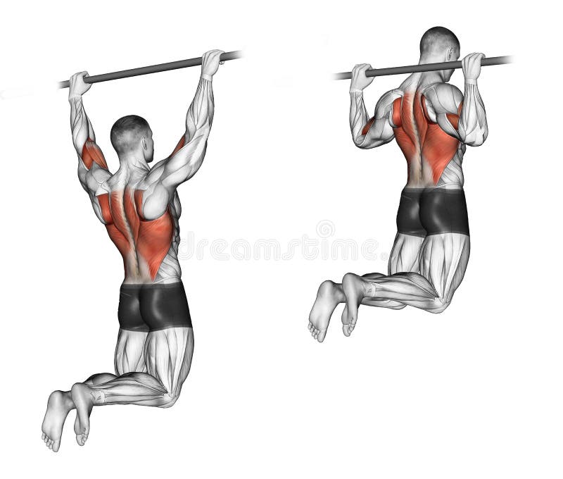 Exercising. Pull-ups on the bar, touching the back royalty free illustration