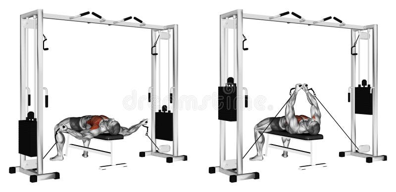 Exercising. Reduction of arms to lower block. Reduction of arms to lower block. Exercising for bodybuilding Target muscles are marked in red. Initial and final royalty free illustration