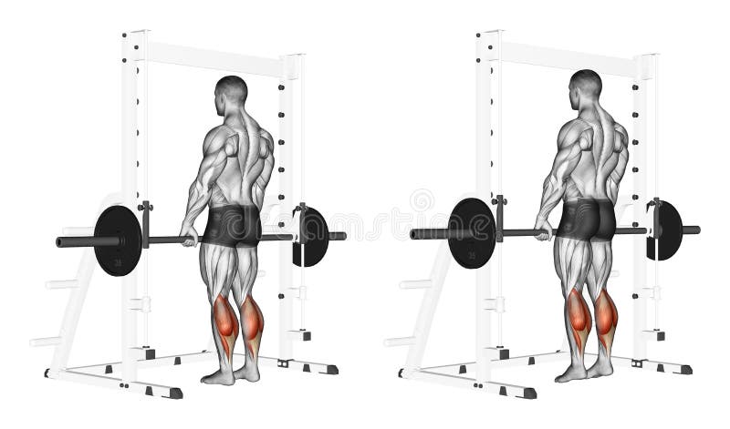 Exercising. Rise on toes with a barbell vector illustration