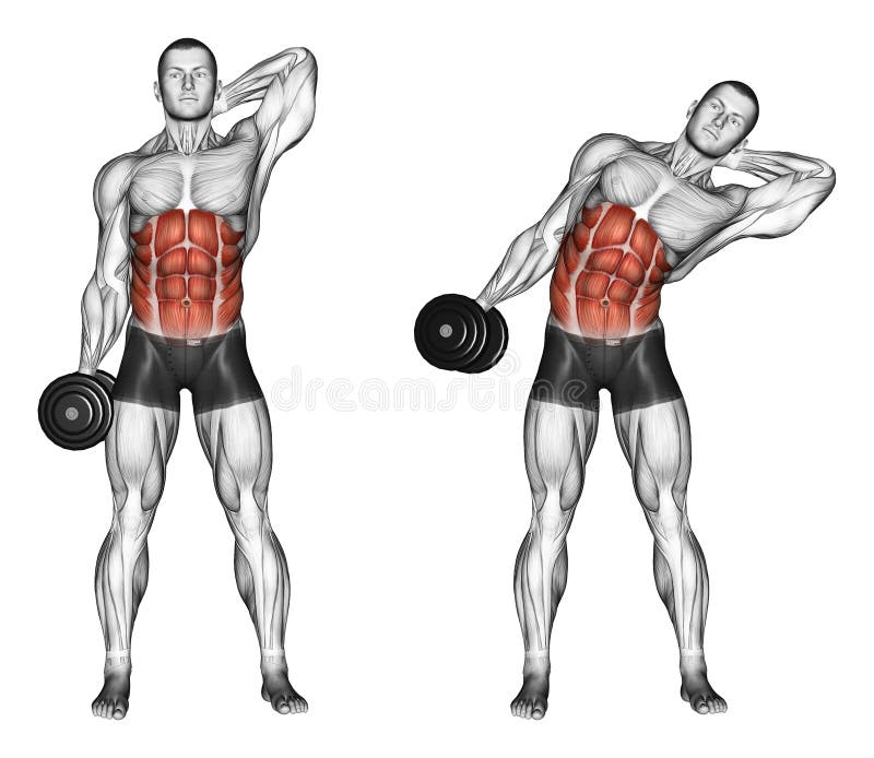 Exercising. Side slopes of standing. Side slopes of standing. Exercising for bodybuilding. Target muscles are marked in red. Initial and final steps stock illustration