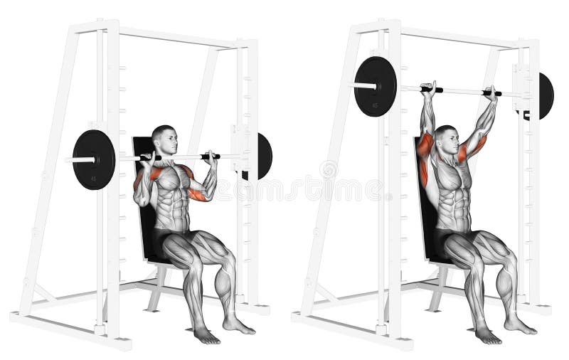 Exercising. Smith Machine Shoulders Press royalty free illustration