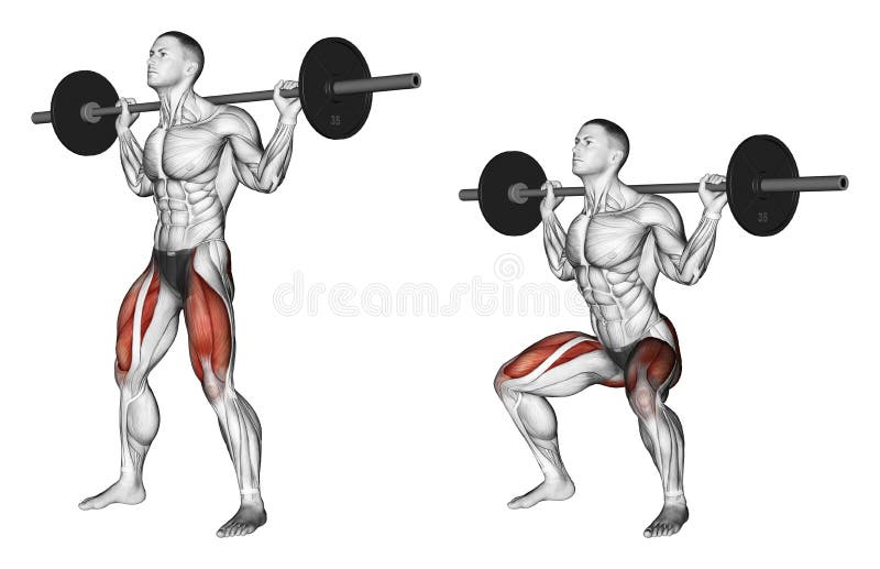 Exercising. Squats on the shoulders royalty free illustration