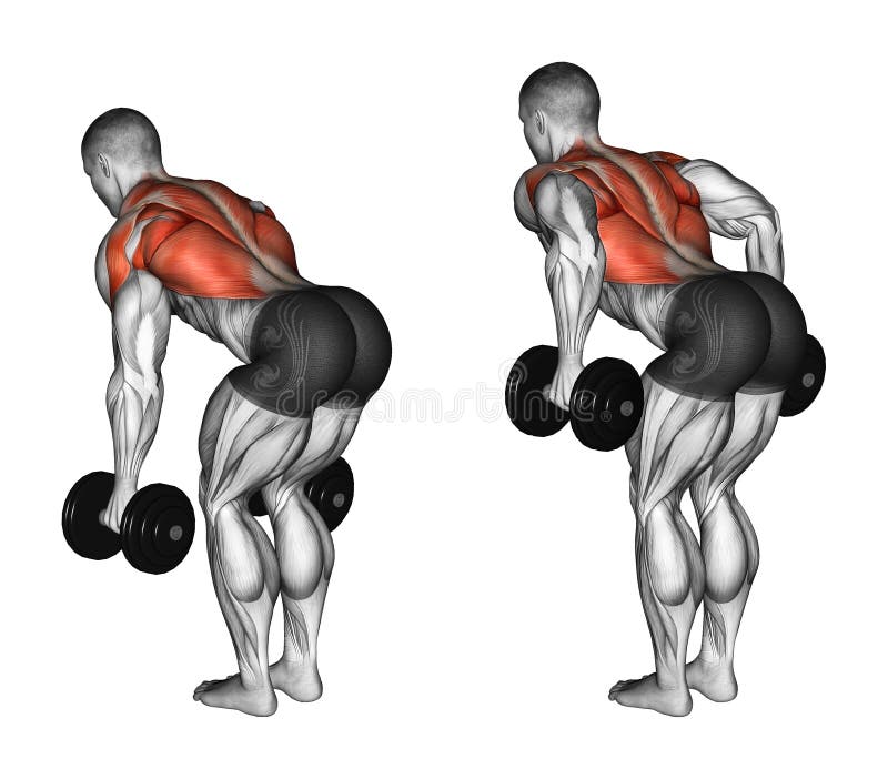 Exercising. Thrust dumbbells in the slope stock illustration