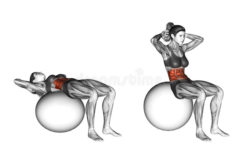 Fitball exercising. Ball Crunch. Female vector illustration