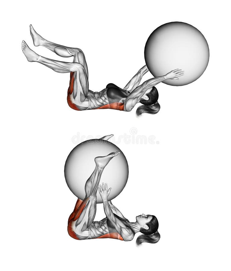 Fitball exercising. Reduction of the hands and feet in a triangle with fitball. Female vector illustration