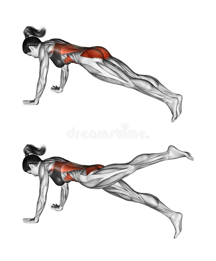 Fitness exercising. Hip extension in position Strap. Female vector illustration
