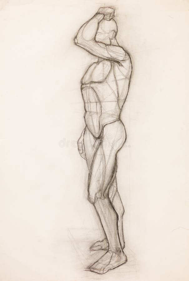 Human body anatomy study vector illustration