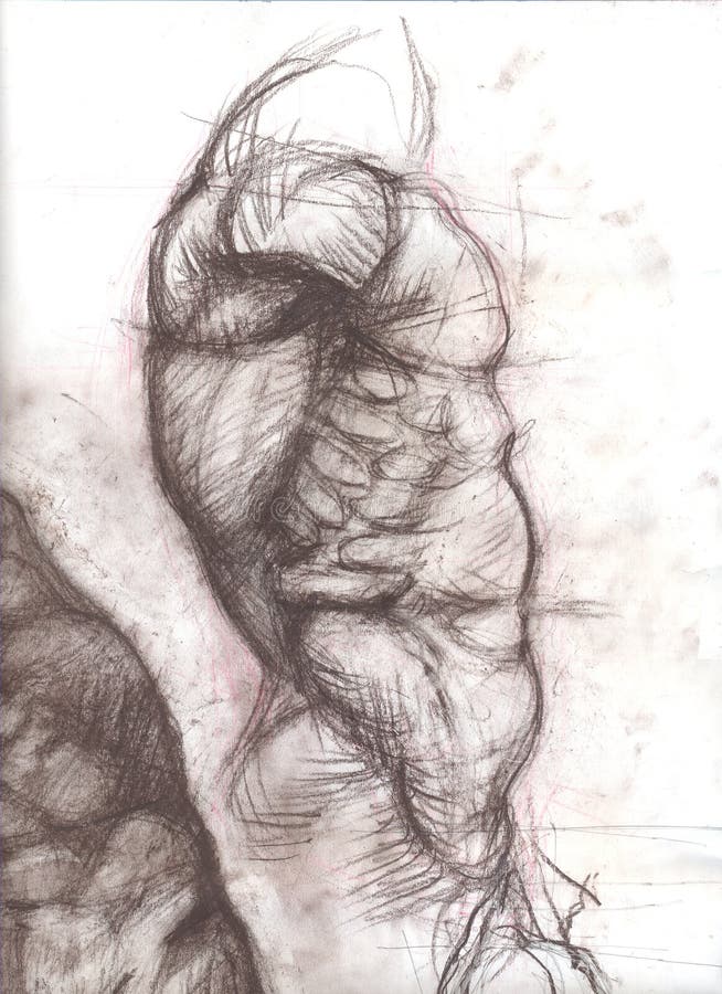 Lateral torso sketch original stock illustration