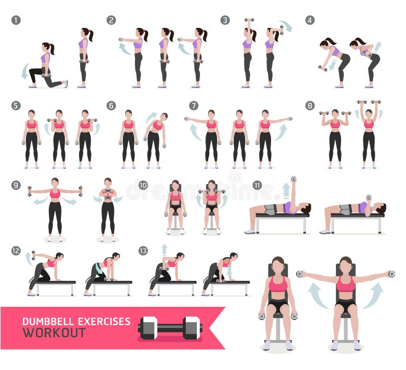 Woman dumbbell workout fitness and exercises. stock illustration