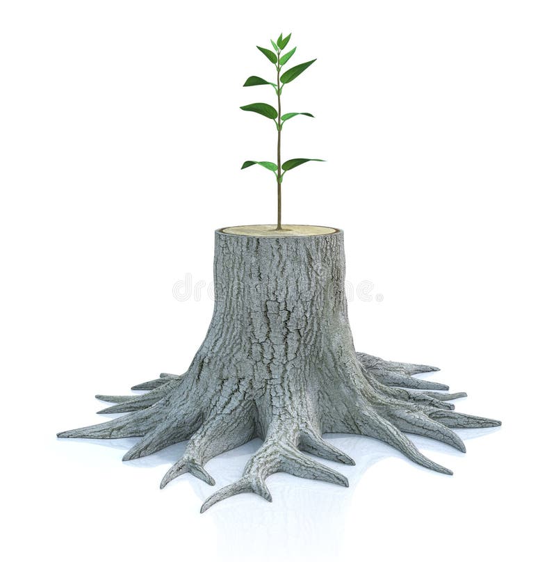 Young tree seedling grow from old stump vector illustration