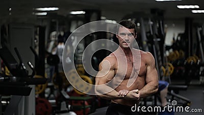 Male athlete with an athletic physique, posing in gym. Male athlete with athletic body inflated, posing in gym. Demonstration and muscle tension can benefit in stock footage