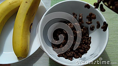 Sweet chocolate flakes are poured into a white bowl for a nutritious Breakfast, next to the plate are bananas, sunlight, in the mo. Rning stock video