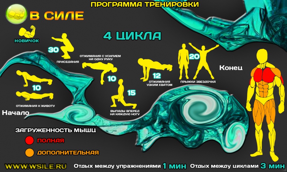 53 тренировочных программы для Начинающих, Продвинутых, Профессионалов и Мастеров