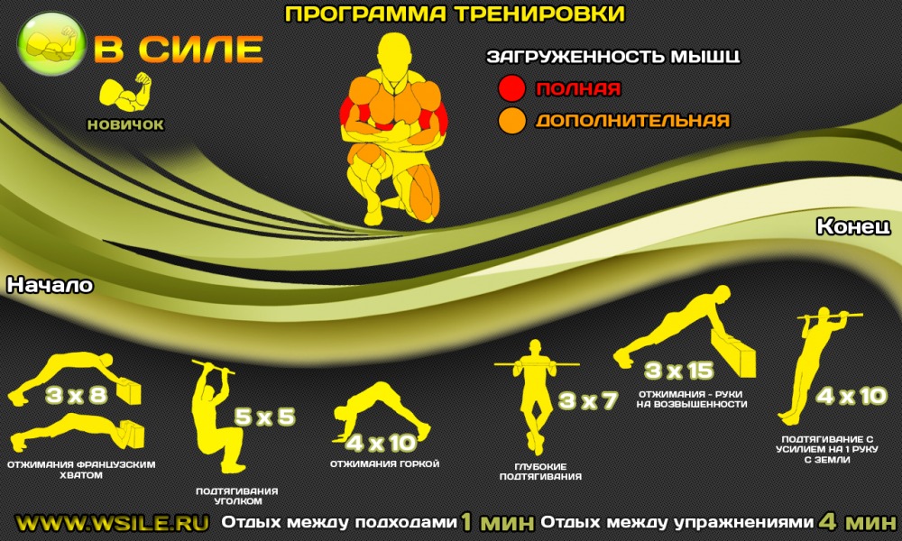 53 тренировочных программы для Начинающих, Продвинутых, Профессионалов и Мастеров