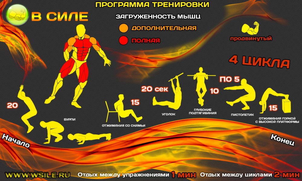 53 тренировочных программы для Начинающих, Продвинутых, Профессионалов и Мастеров