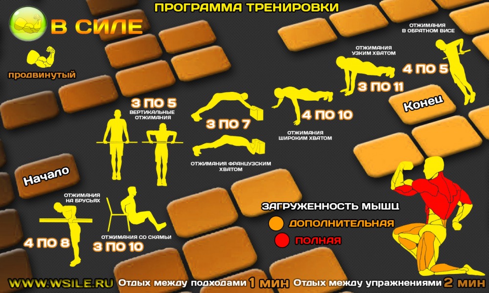 53 тренировочных программы для Начинающих, Продвинутых, Профессионалов и Мастеров