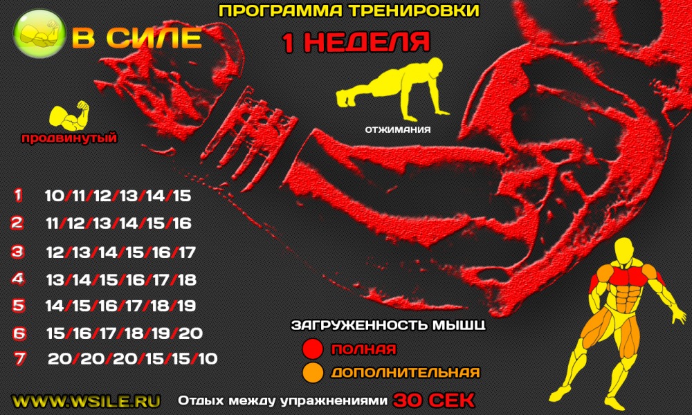 53 тренировочных программы для Начинающих, Продвинутых, Профессионалов и Мастеров