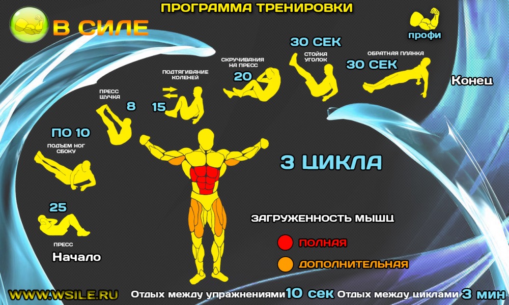 53 тренировочных программы для Начинающих, Продвинутых, Профессионалов и Мастеров