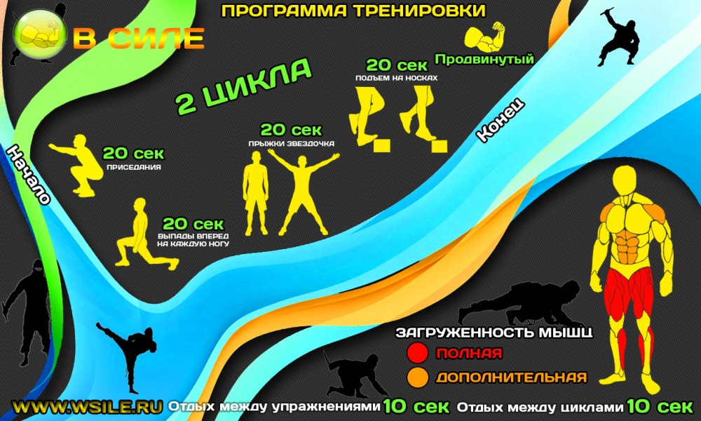 53 тренировочных программы для Начинающих, Продвинутых, Профессионалов и Мастеров